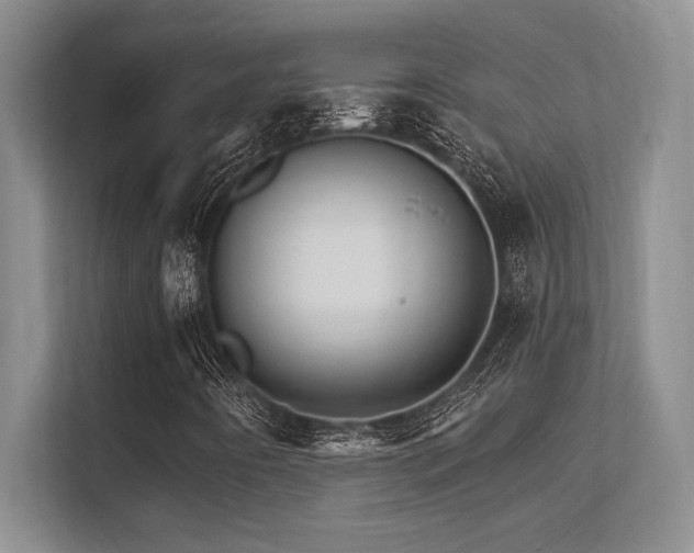 X0000112431442200908141421