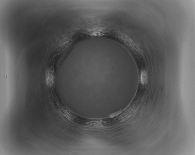 X0000112431444200908141421