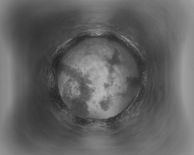 X0000112431446200908141421