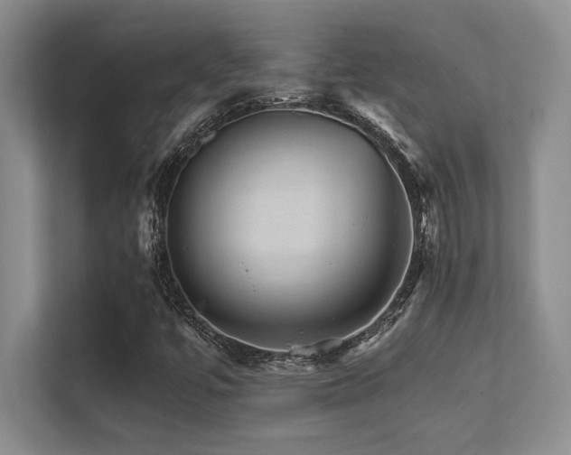X0000112431447200908141421