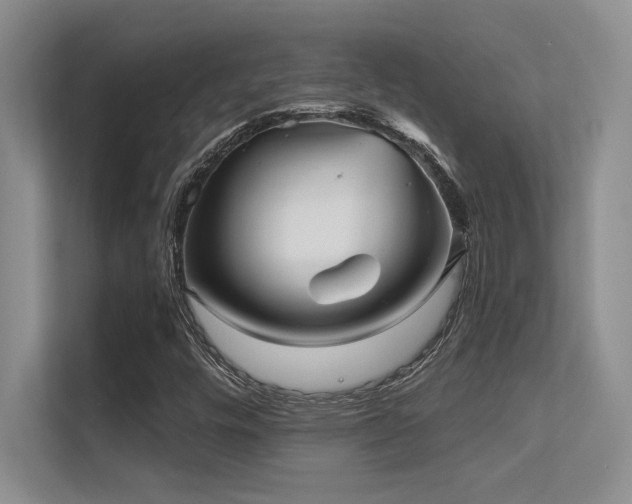 X0000112431448200908141421
