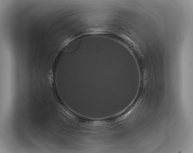 X0000112431449200908141421