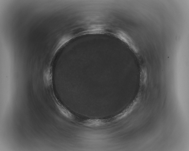 X0000112431450200908141421