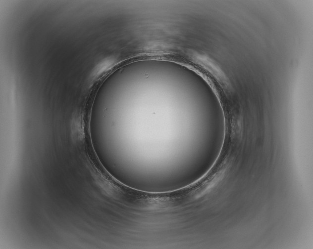 X0000112431451200908141421