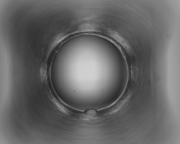 X0000112431452200908141421