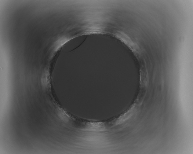 X0000112431453200908141421