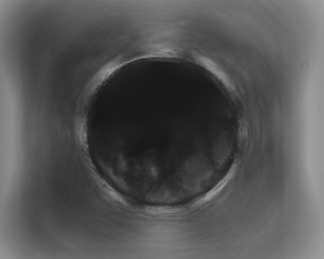 X0000112431455200908141421