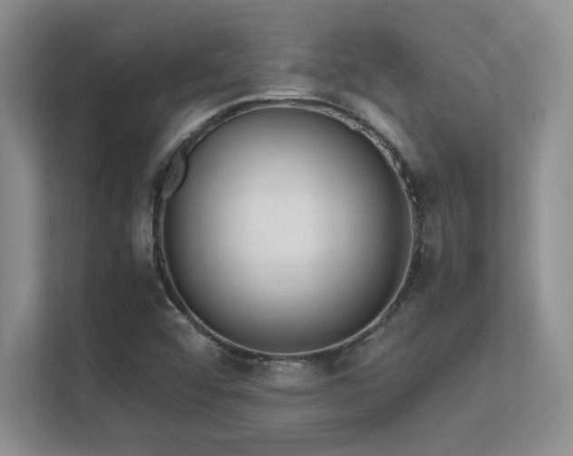 X0000112431456200908141421