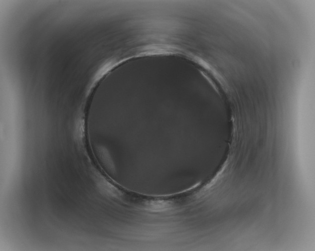 X0000112431459200908141421