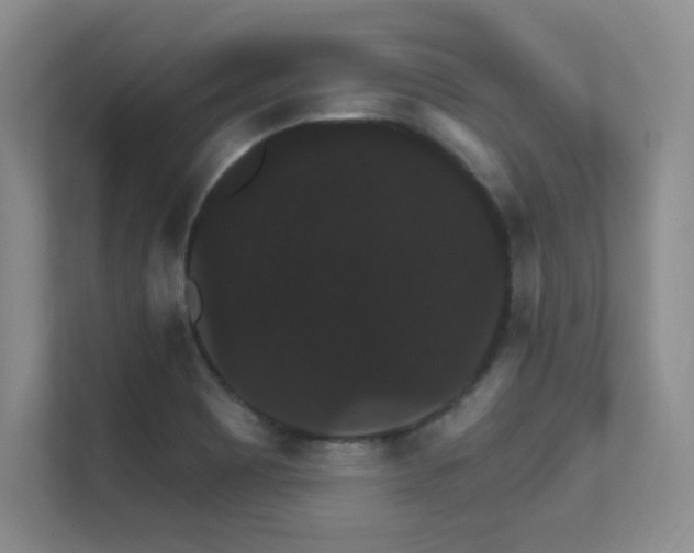 X0000112431465200908141421