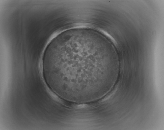 X0000112431467200908141421