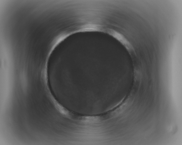 X0000112431469200908141421