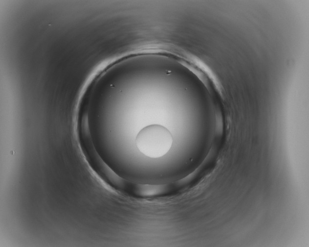 X0000112431472200908141421