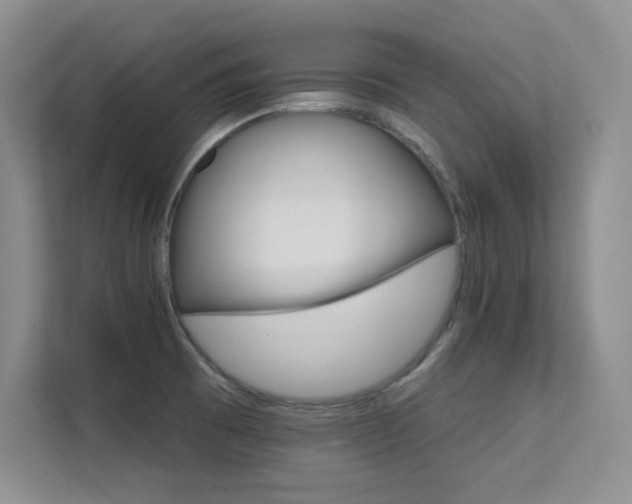 X0000112431473200908141421