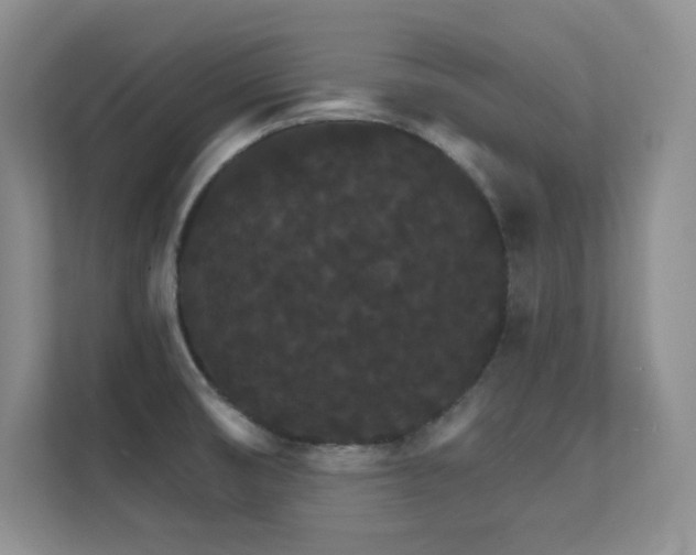 X0000112431474200908141421