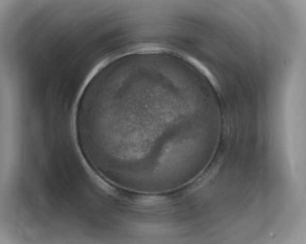 X0000112431475200908141421