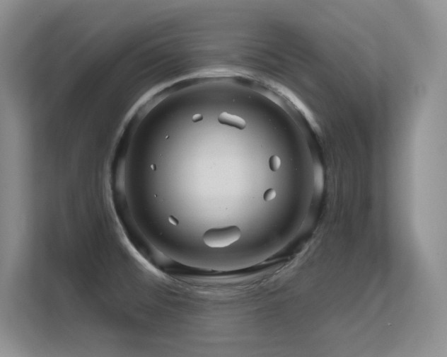 X0000112431476200908141421
