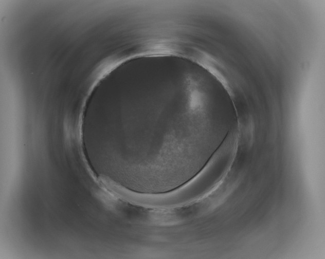 X0000112431477200908141421