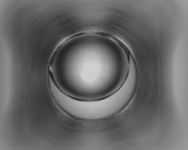 X0000112431481200908141421