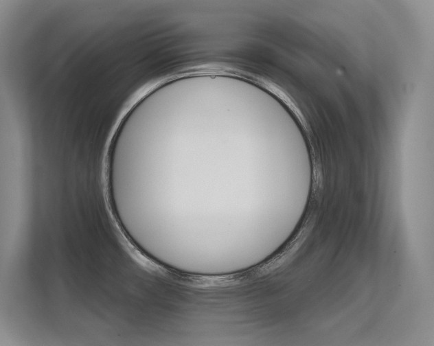 X0000112431482200908141421