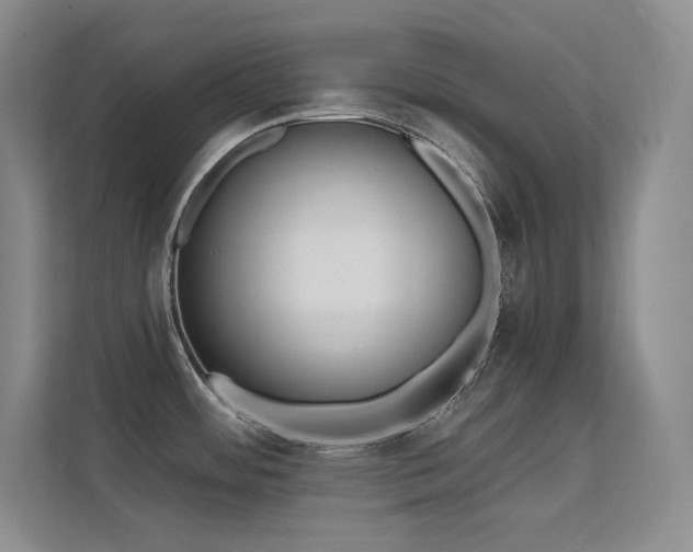 X0000112431484200908141421