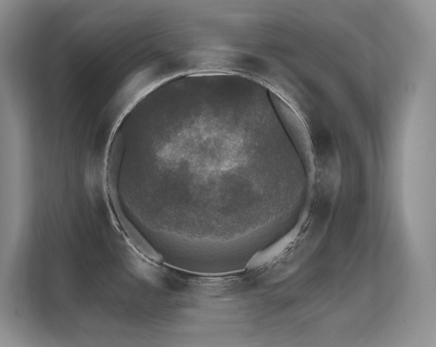 X0000112431485200908141421