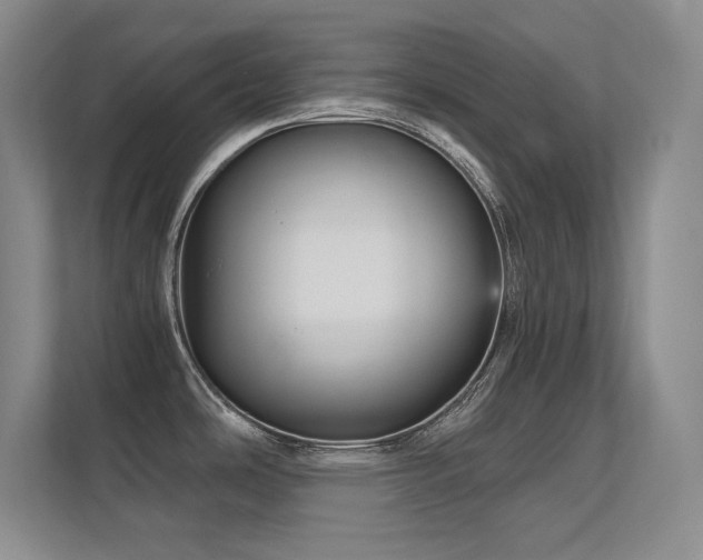 X0000112431486200908141421