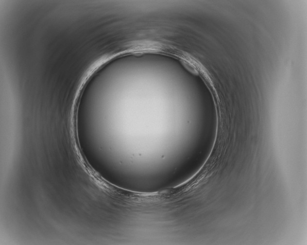 X0000112431488200908141421