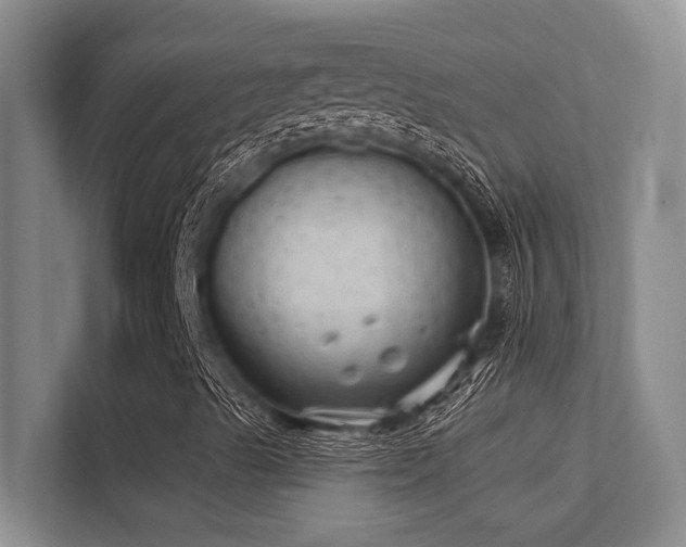 X0000112431489200908141420