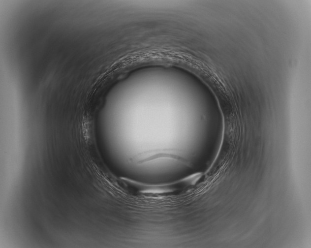 X0000112431490200908141420