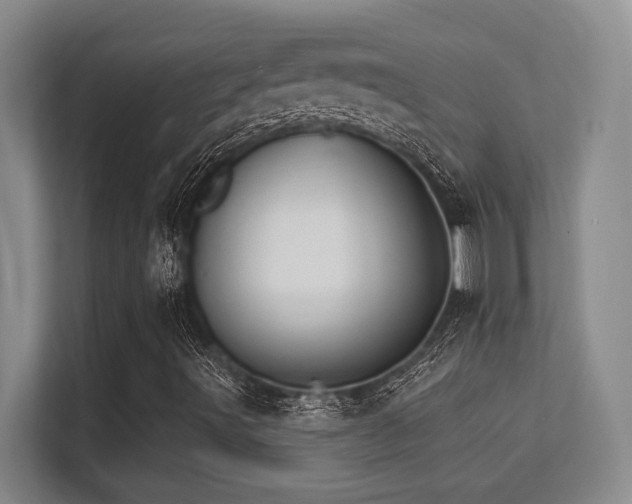X0000112431491200908141420
