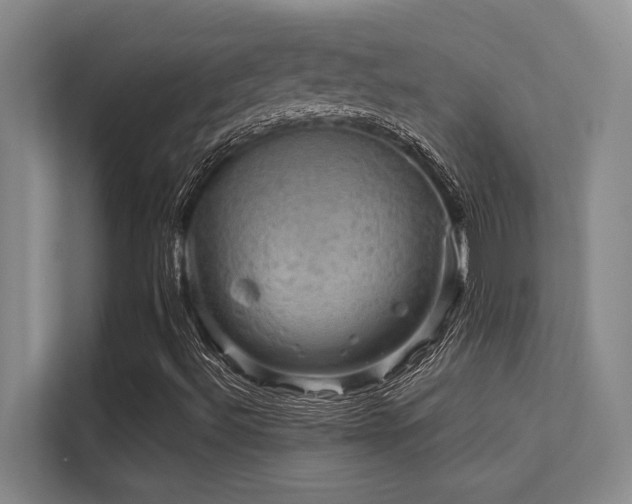X0000112431492200908141420