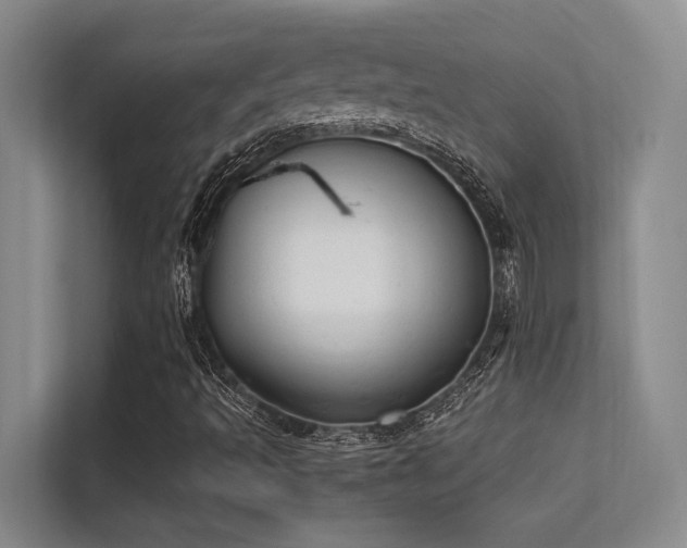 X0000112431493200908141420