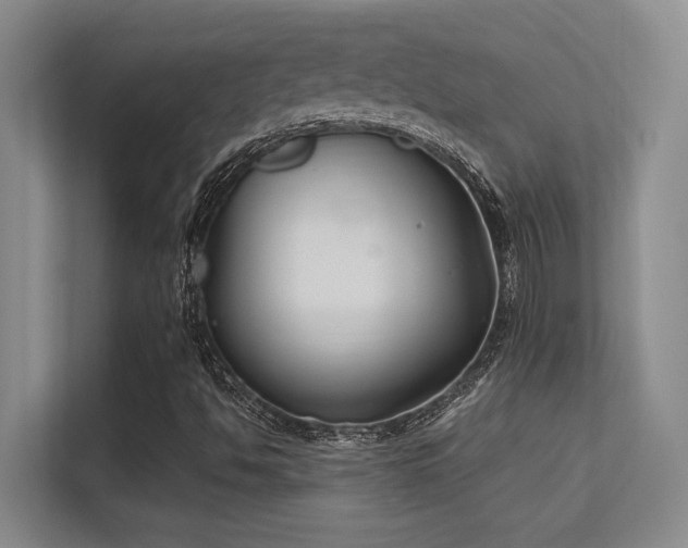 X0000112431494200908141420