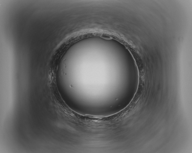X0000112431495200908141420