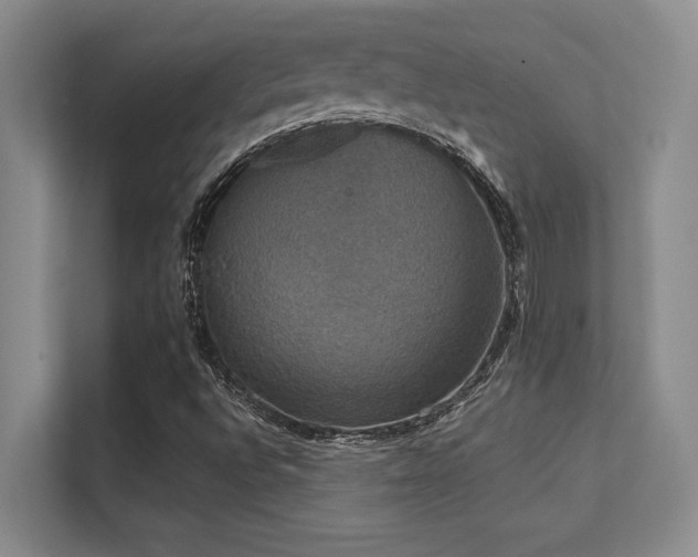 X0000112431496200908141420