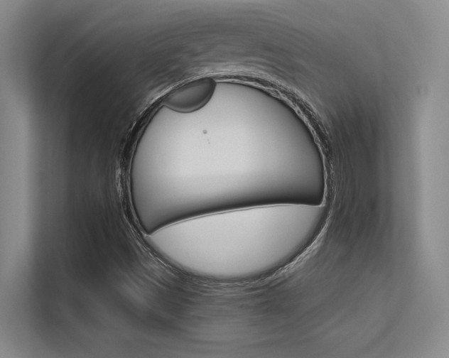 X0000112431497200908141420