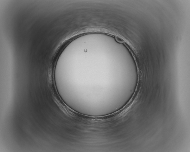 X0000112431499200908141420
