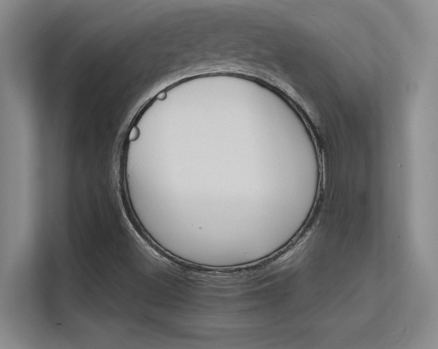 X0000112431500200908141420