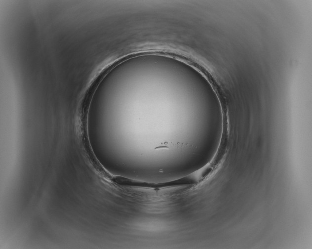 X0000112431501200908141420