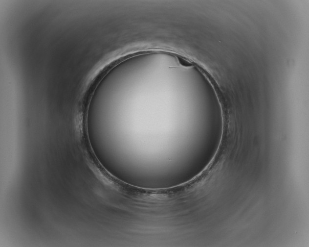 X0000112431503200908141420