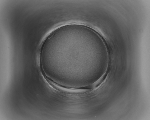 X0000112431504200908141420