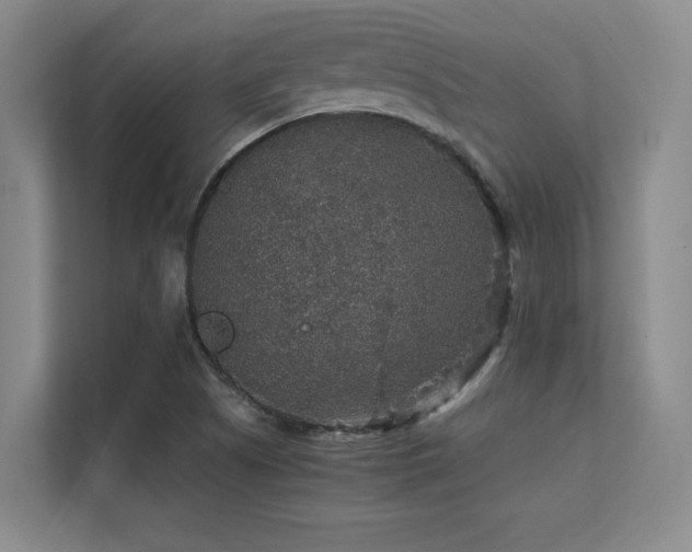 X0000112431505200908141420