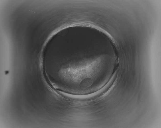 X0000112431506200908141420