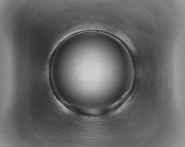 X0000112431508200908141420