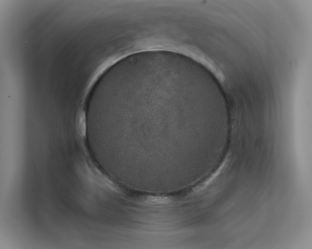 X0000112431509200908141420