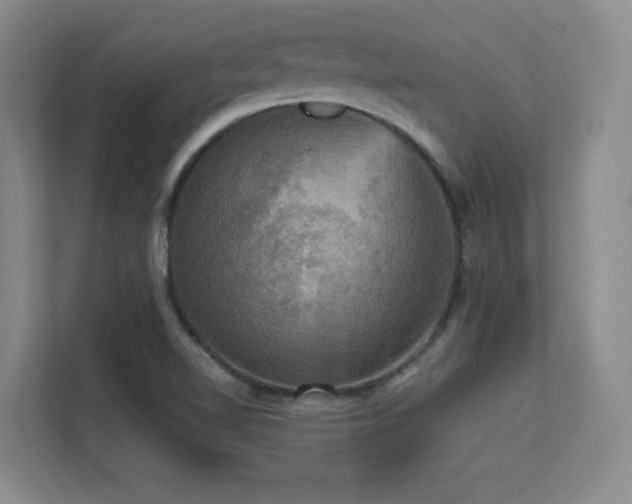X0000112431510200908141420