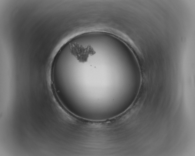 X0000112431512200908141420