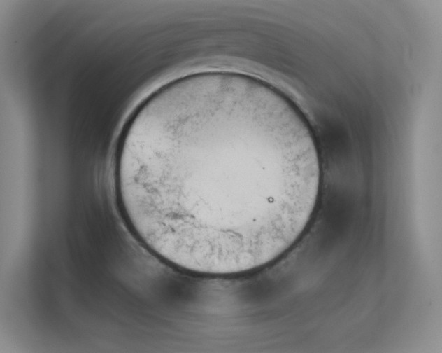 X0000112431514200908141420