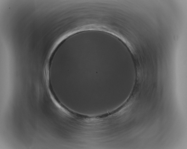X0000112431515200908141420